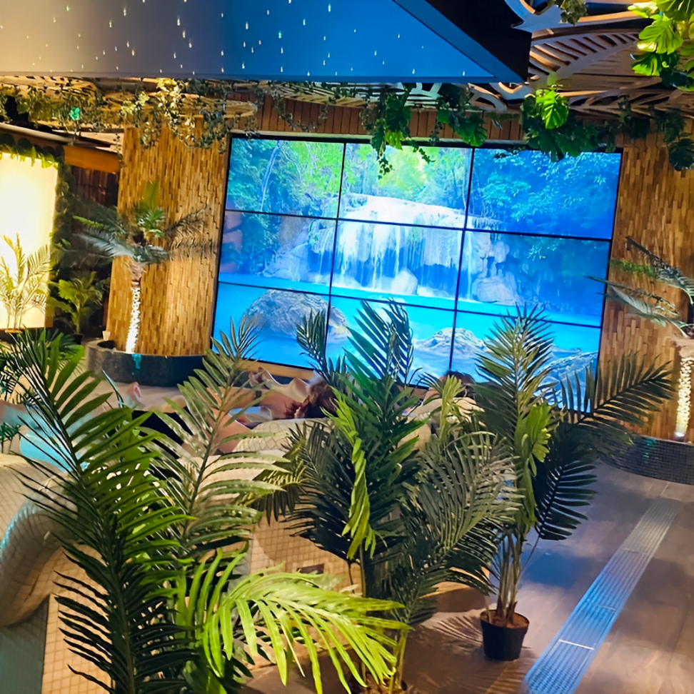 Rainforest Elemis Package for Two